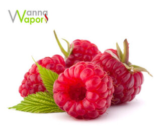 Wanna Vapor Himbeere 10ml 9mg